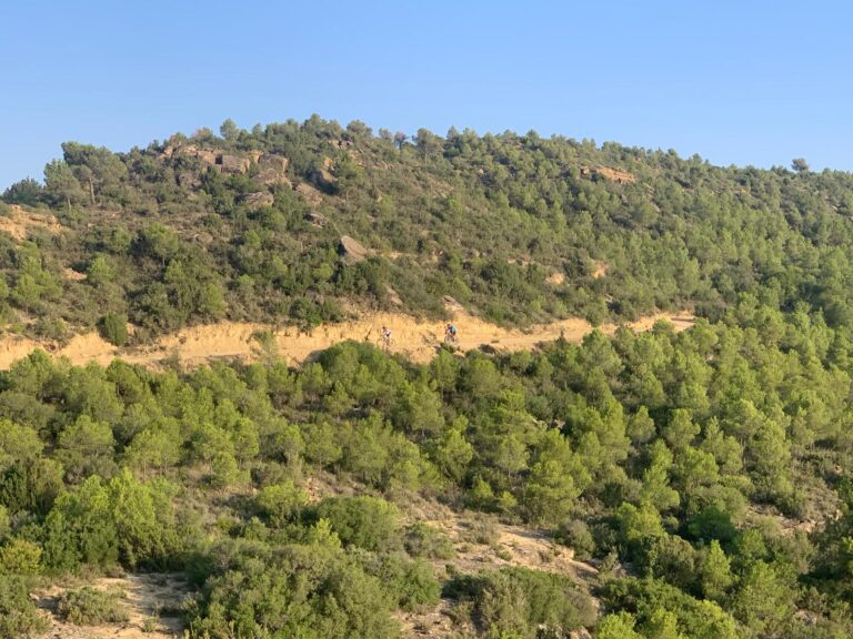 La Marcuera